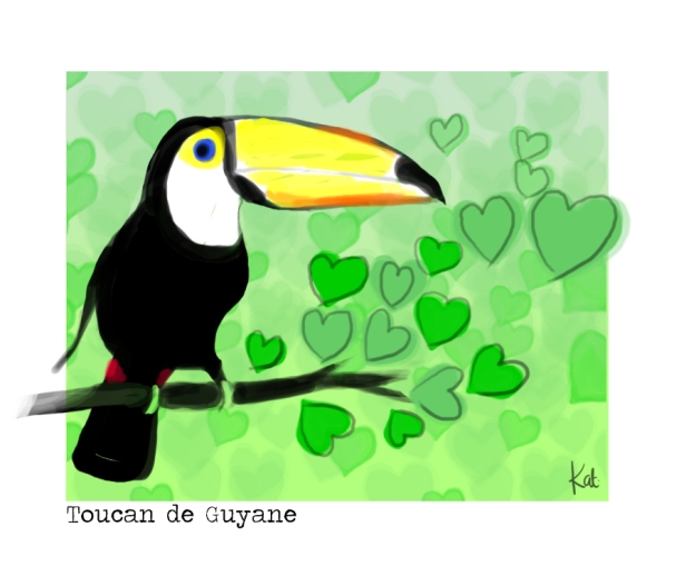 toucan-copie2